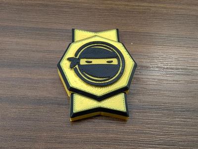 Code Ninjas Camp Badge Coin