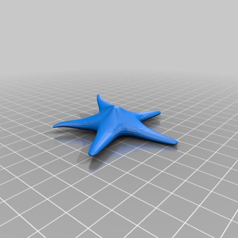 Starfish (Seestern)