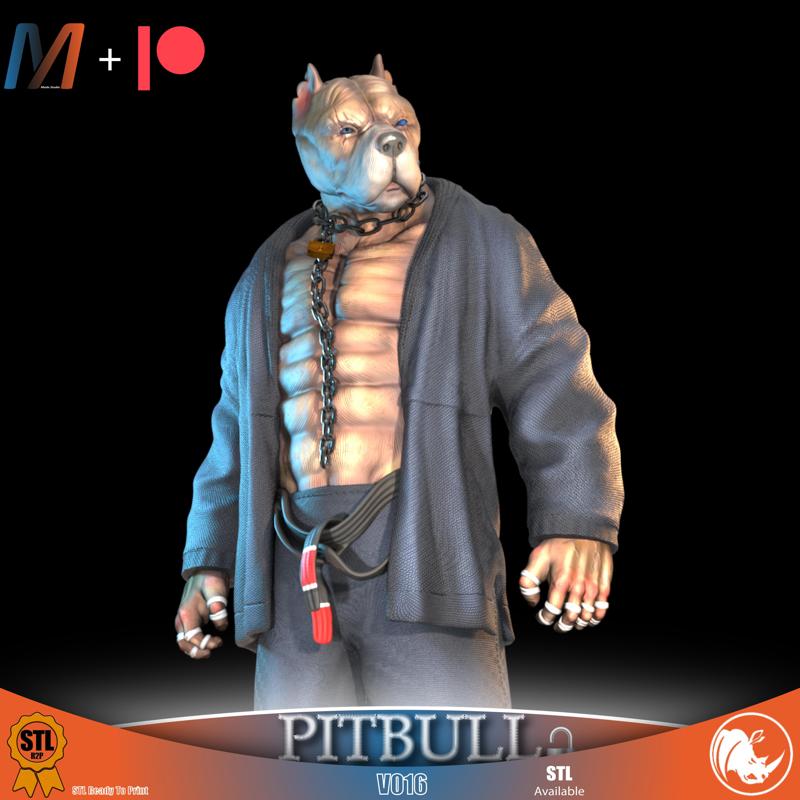 V016 - PITBULL