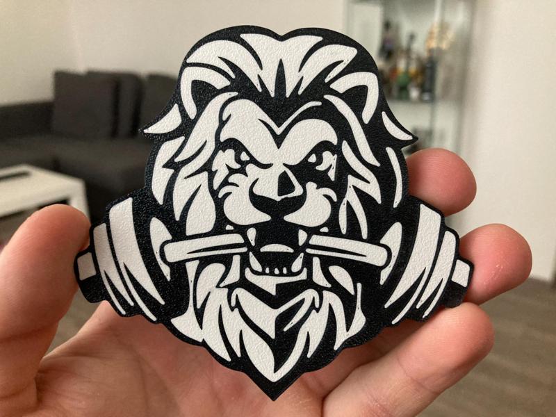 Gym Lion 