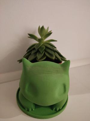 plant coaster for the Bulbasaur Planter