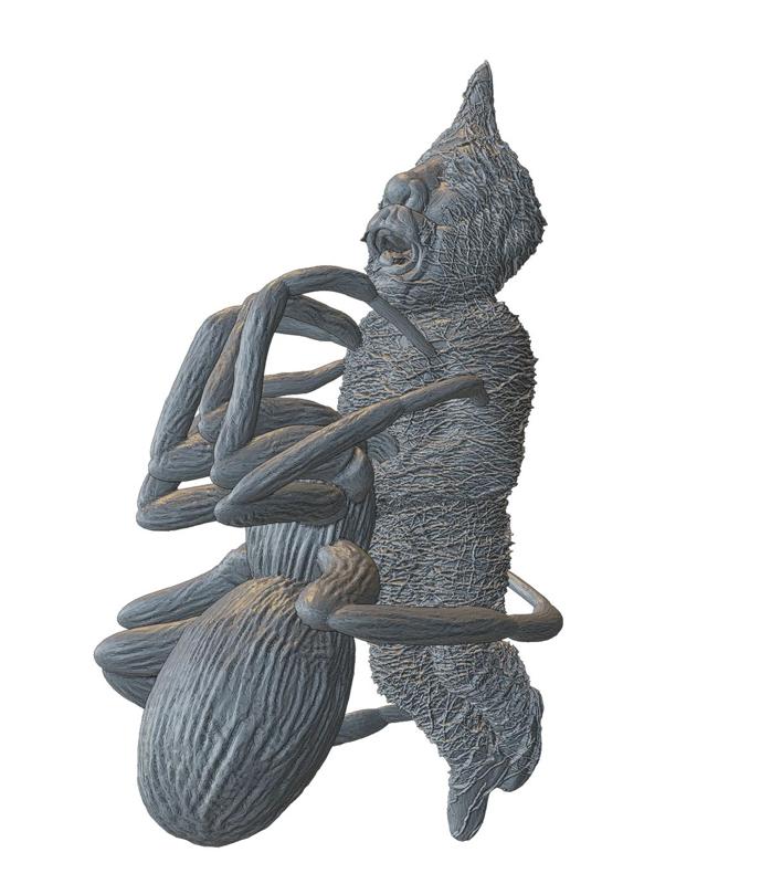 Dwarf Spider Victim with Spider