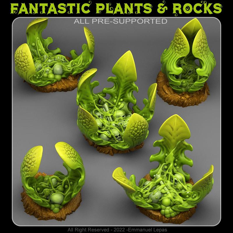 CARNIVOROUS GLUE PLANTS