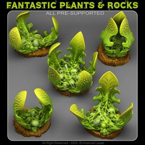 CARNIVOROUS GLUE PLANTS