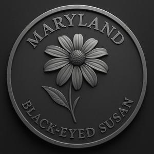 maryland state flower black eyed susan coin token wall art