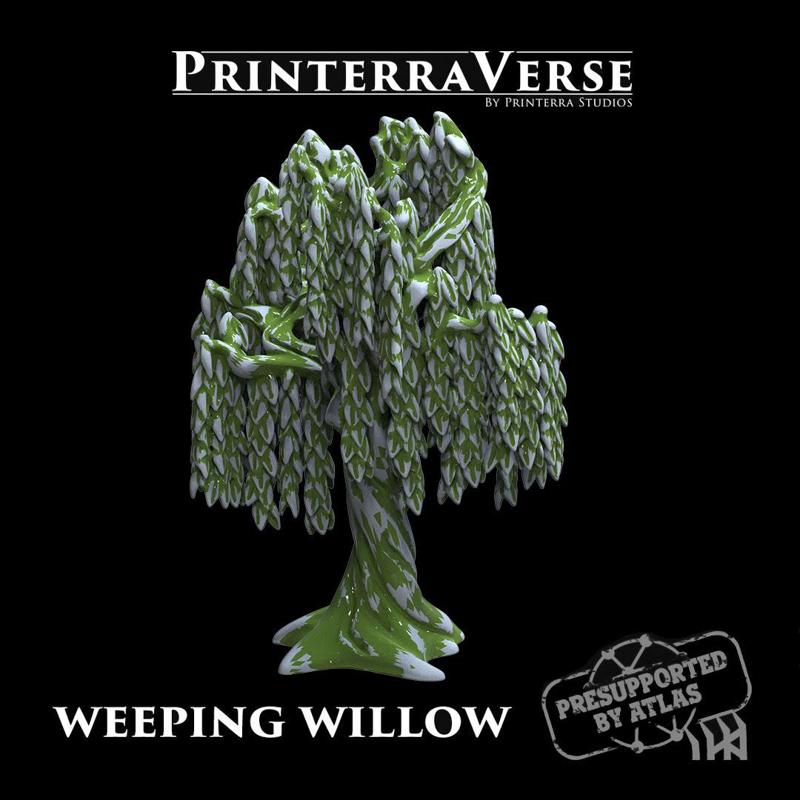 004 PLANT Weeping Willow Tree