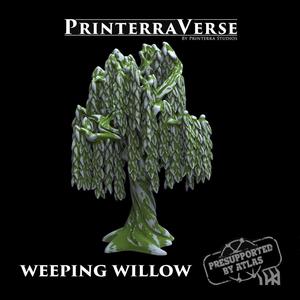 004 PLANT Weeping Willow Tree