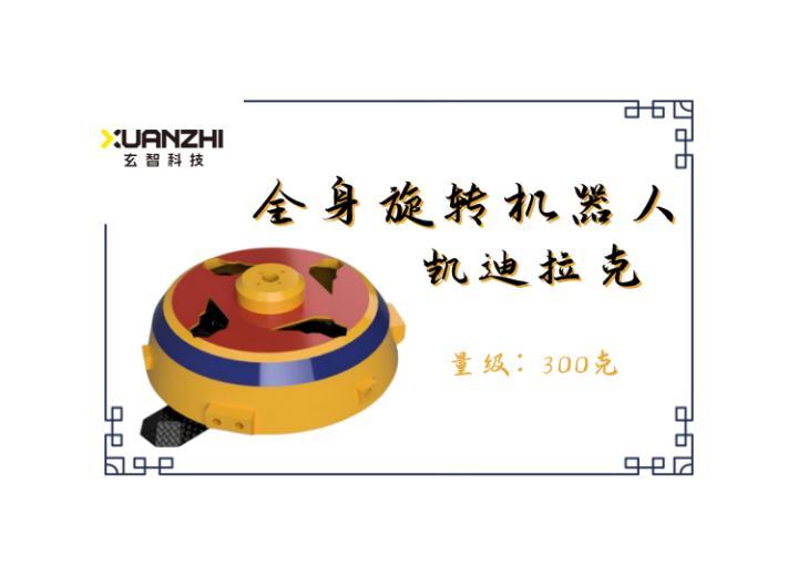 E1 Series 300g Combat Robot - Full Body Rotation Robot - Cadillac