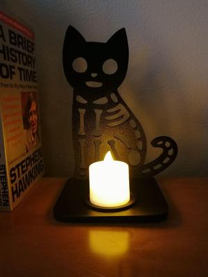 Halloween cat