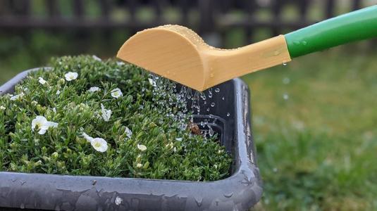 Gieskannenbrause (Watering can shower)