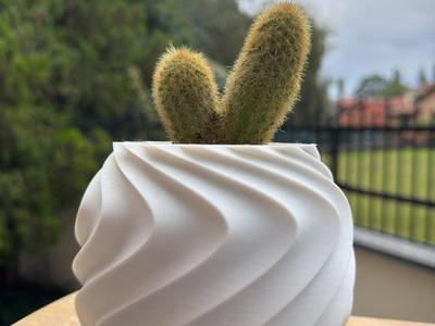 Cactus Sprial Vase