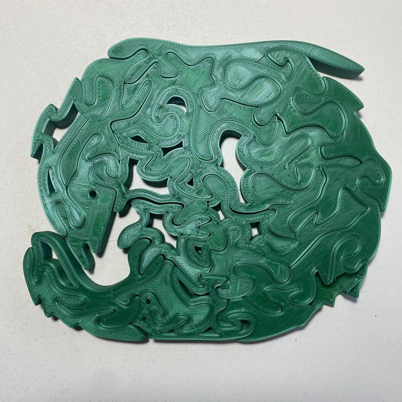 Dolphin Puzzle