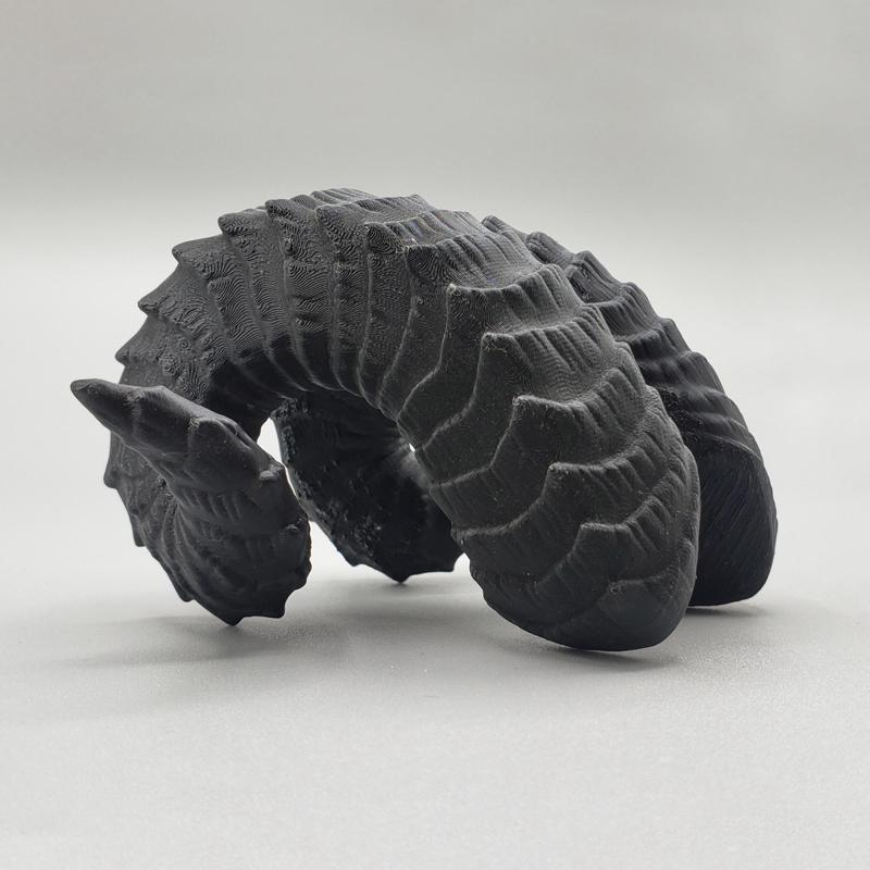 Laura | Small Curled Horns