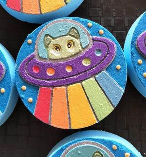Bath Bomb Mould Hybrid UFO Alien Rainbow Cat