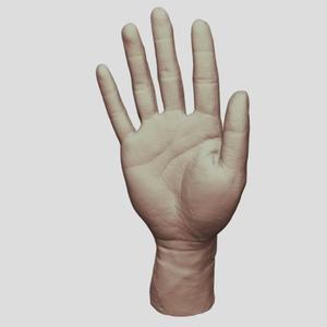 Hand Model（scanned by Revopoint MINI）