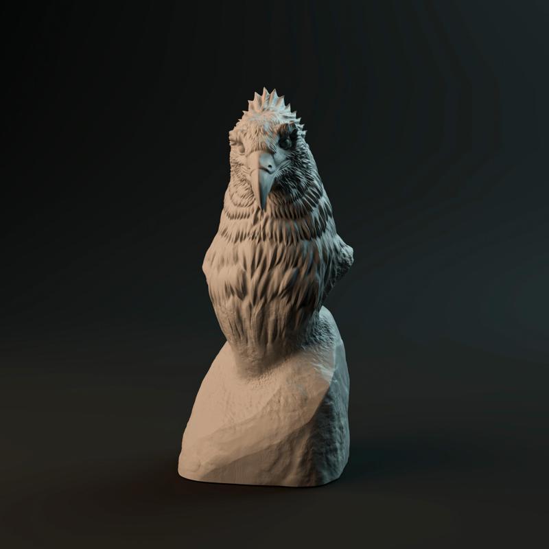 Haast Eagle bust - pre-supported prehistoric bird head