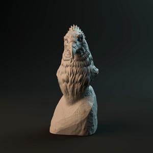 Haast Eagle bust - pre-supported prehistoric bird head