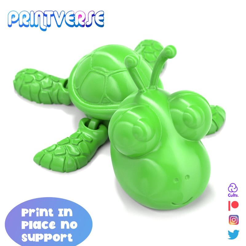 Flexy Print In Place Cute Turtle