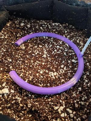 Parametric hydro halo / watering ring