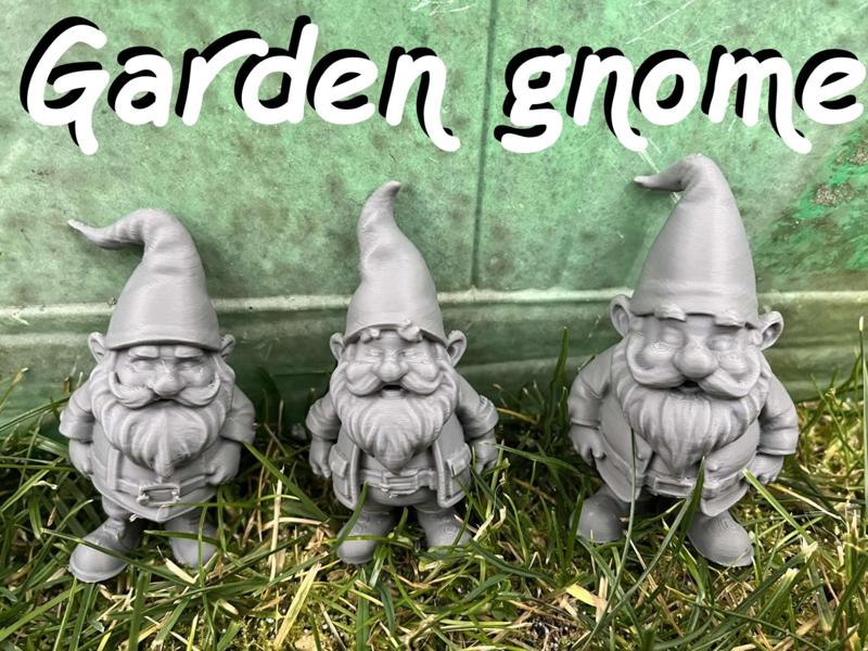 Garden Gnome, Dwarf
