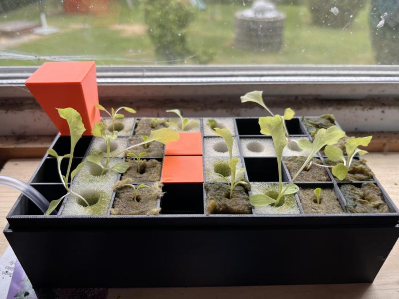 Hydroponic Seed Starter