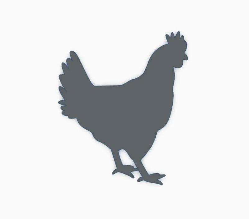 Chicken   