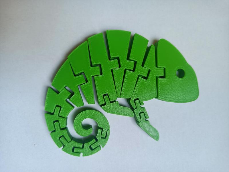 Flexi Chameleon Toy