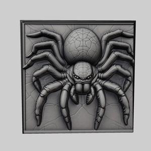 Spider Animal Relief