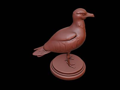 Seagull Animal Figure Printable
