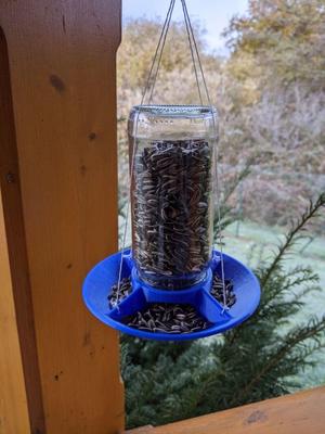 Jar bird feeder