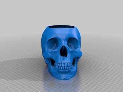 Human Skull Pot - With Drainage Hole