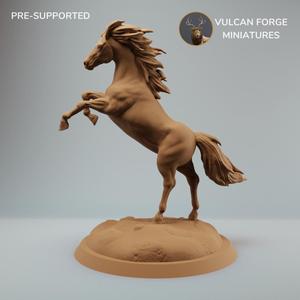 Horse on hind legs pre supported