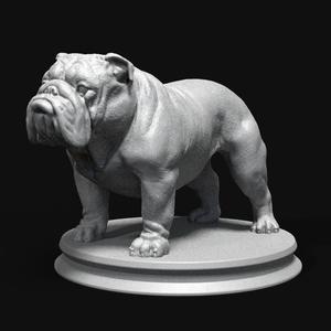 Bulldog English Dog