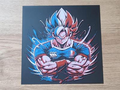 Dragon Ball Z French Rugby Team