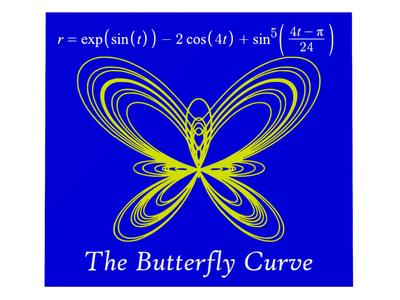 The Butterfly Curve