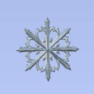 Snowflake 01
