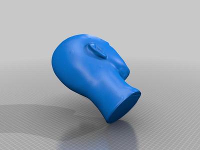 RUBBER HEAD MODEL（GENERATED BY REVOPOINT POP）