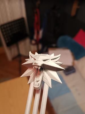 Witcher booklet