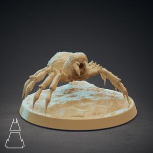 Cave Spider