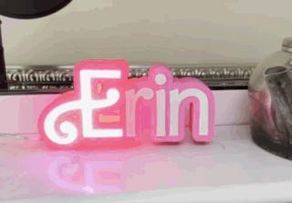 Erin Name Retro Doll Sign