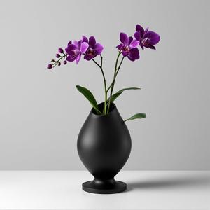 Flower Vase & Pot – Perfect for Home & Office