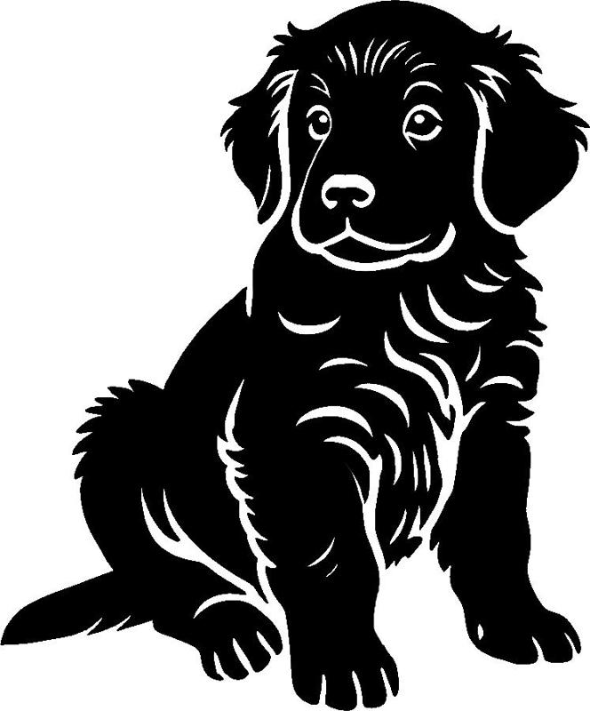 Golden Retriever Puppy Wall Art