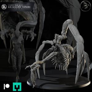 Angler Host