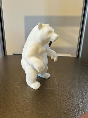 Polar bear 