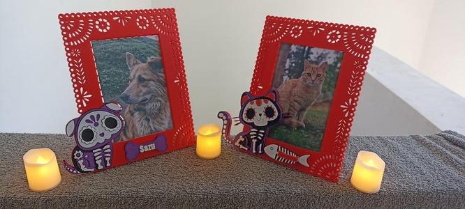 Porta retrato dia de muertos para mascotas (pet portrait)