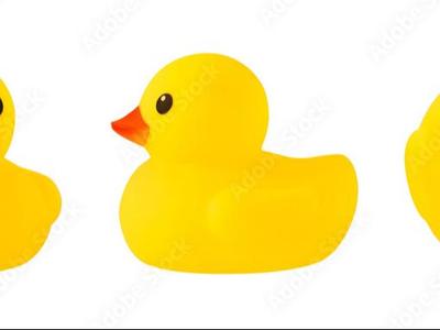 ducks (200)