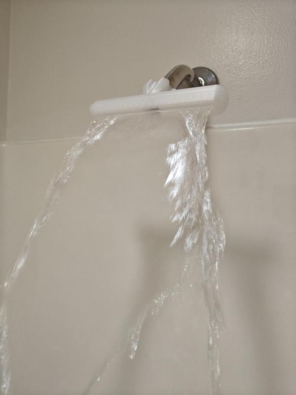 Elongated Shower Head
