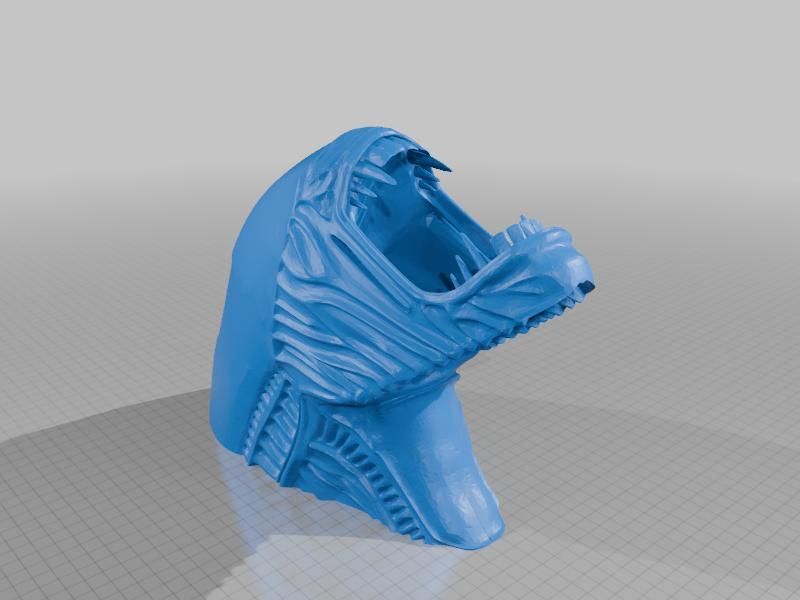 Xenomorph Head Split / Updates