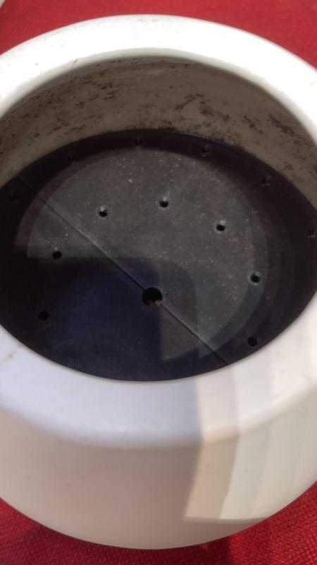 Plant Container Drainage Disc