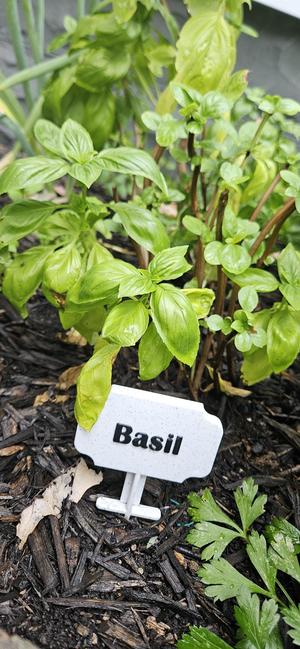 Garden Signs - No Supports Required - Multi-color